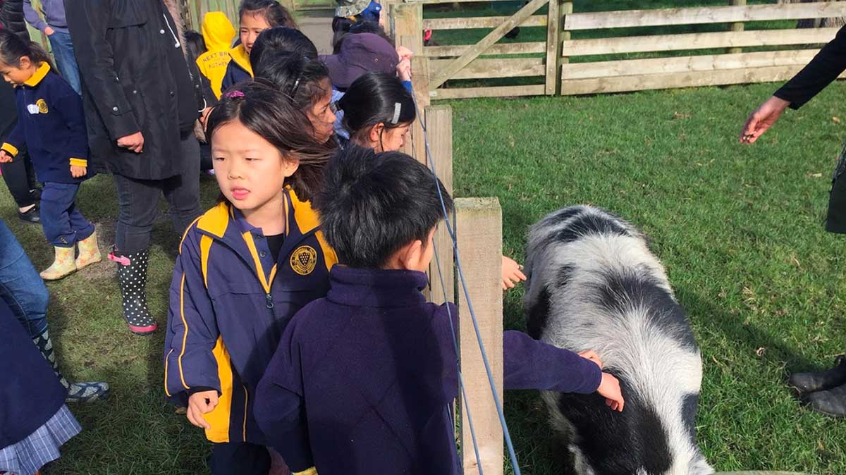 ambury farm school visit