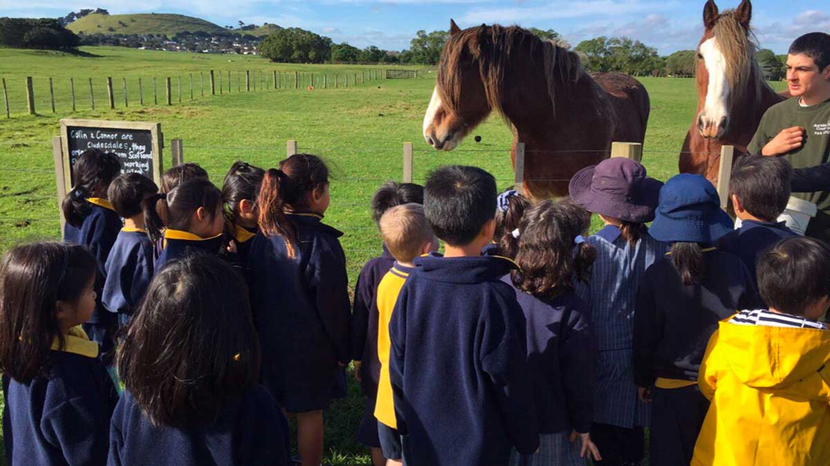 ambury farm school visit